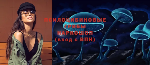 амф Арсеньев