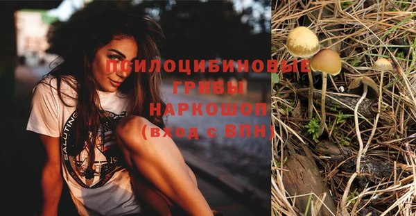 амф Арсеньев