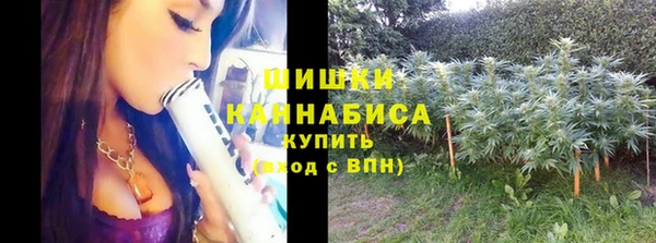 амф Арсеньев