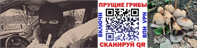 Галлюциногенные грибы MAGIC MUSHROOMS  МЕГА tor  Кинель  закладка 